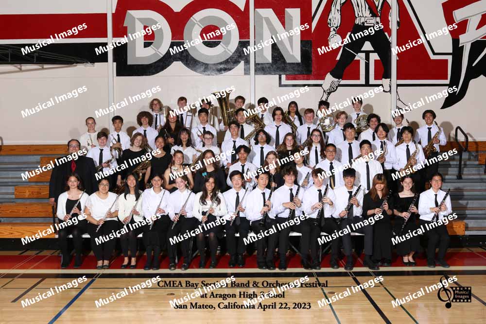 Musical Images